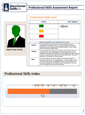 Sample Employbility report